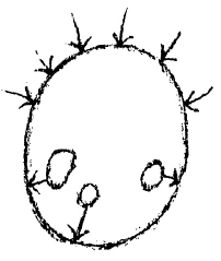 AltName