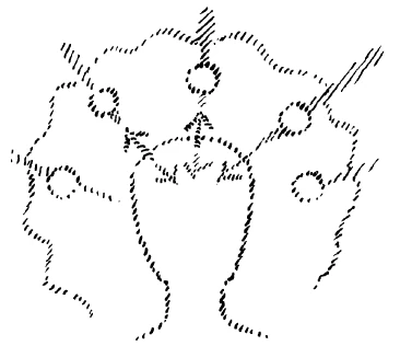 AltName