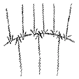 AltName