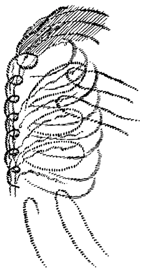 AltName