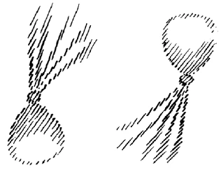 AltName