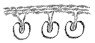 AltName