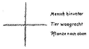 AltName
