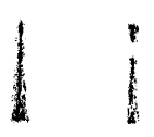 AltName