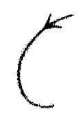 AltName
