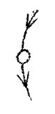 AltName