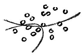 AltName