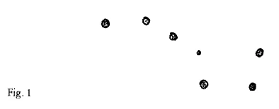 AltName