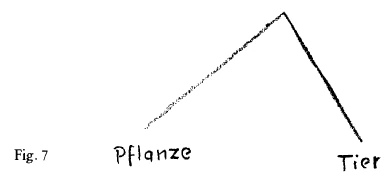 AltName
