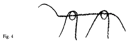 AltName