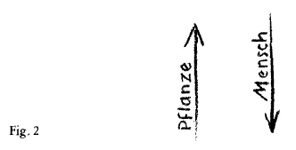 AltName