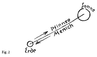AltName